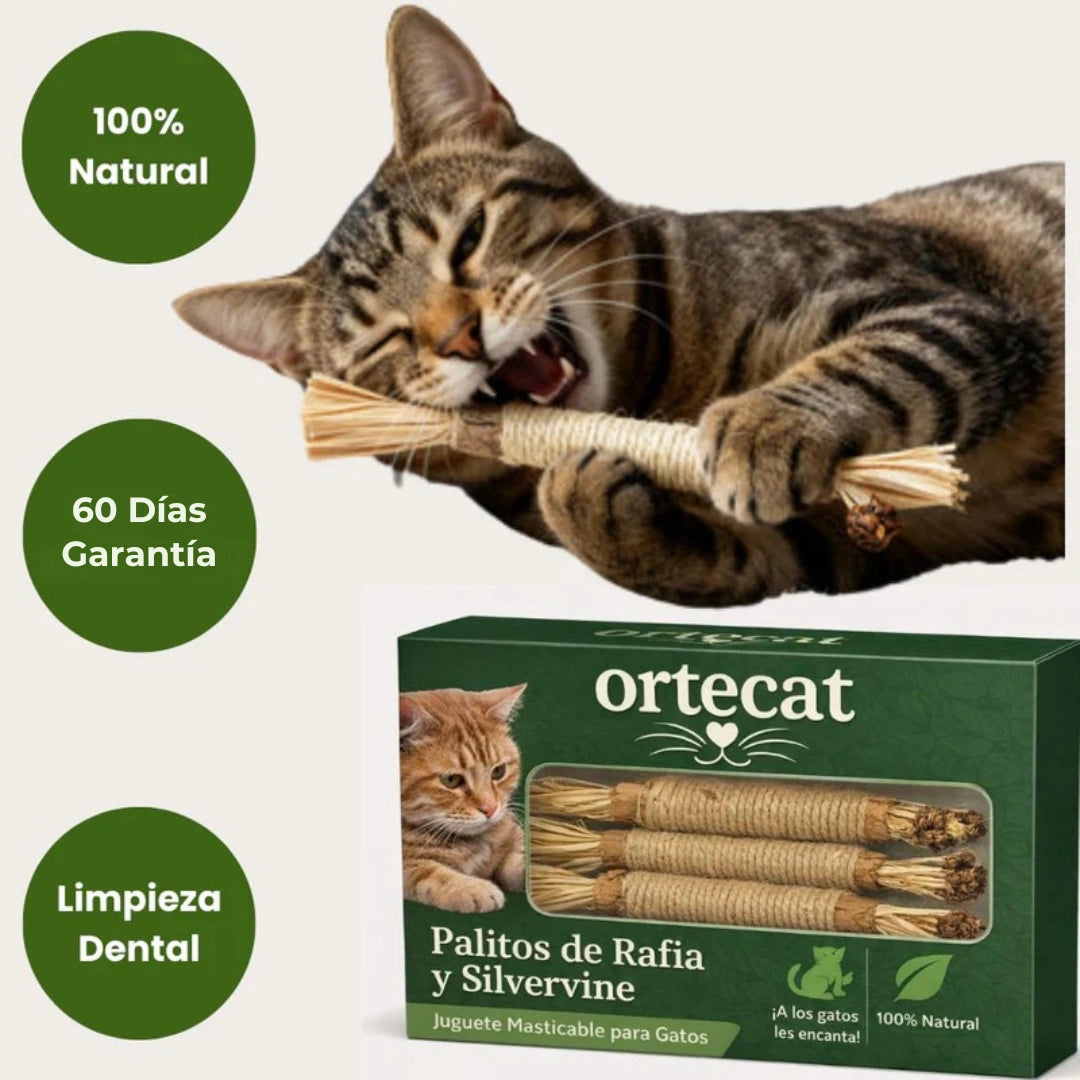 Pack de 5 Silvervine Ortecat™